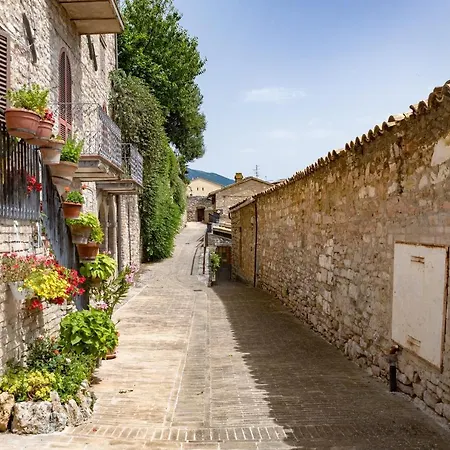 Casa vacanze Rustic House, Con Patio E Giardino, Centro Assisi
